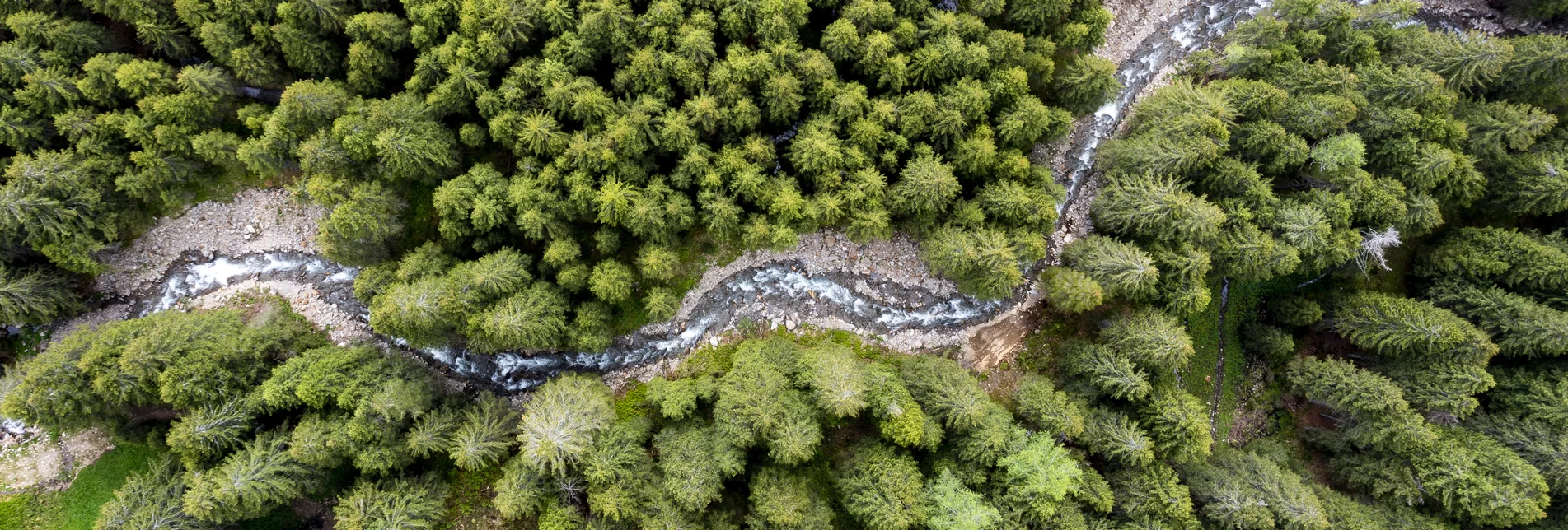 "Schmelzbach" schlingt sich durch steirische Wälder | © Steiermark Tourismus / Tom Lamm | Tom Lamm