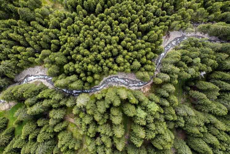 "Schmelzbach" schlingt sich durch steirische Wälder | © Steiermark Tourismus | Tom Lamm