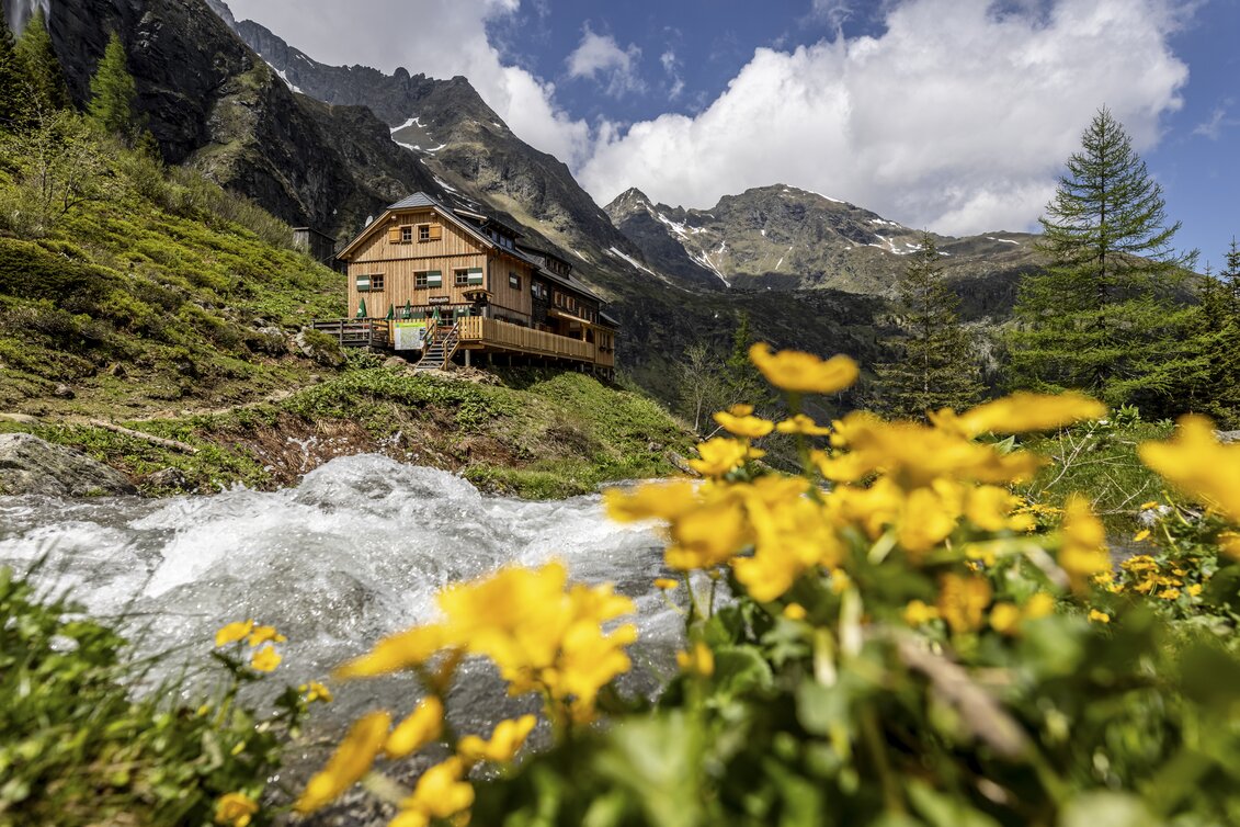 Gollinghütte und Steinriesenbach | © STG | photo-austria.at