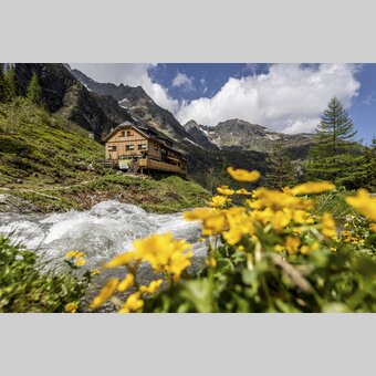 Gollinghütte und Steinriesenbach | © STG | photo-austria.at