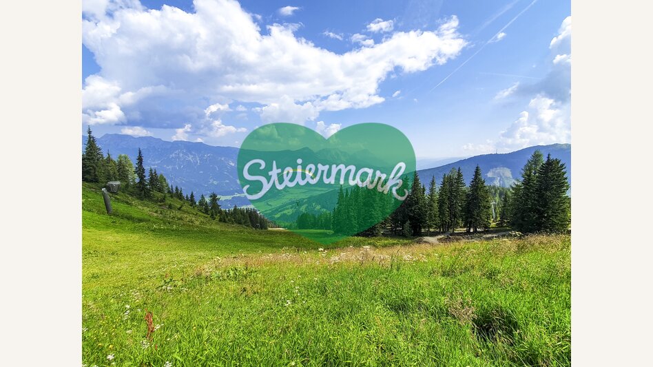 Paragliding in Schladming-Dachstein | © Steiermark Tourismus | Günther Steininger