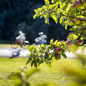 Radfahren entlang von Streuobstgärten