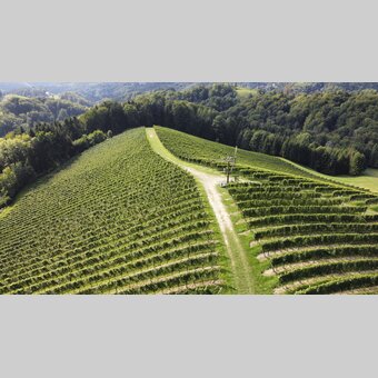 Klapotetz am ....Weinberg | © Steiermark Tourismus | Günther Steininger