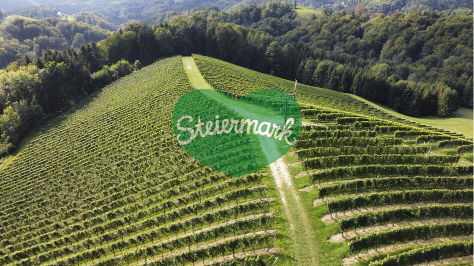 Klapotetz am ....Weinberg | © Steiermark Tourismus | Günther Steininger