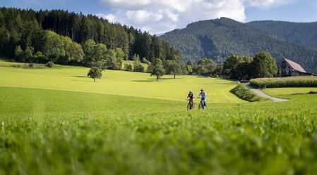 Cycling along the Eppenstein Ruin | © Steiermark Tourismus | Tom Lamm