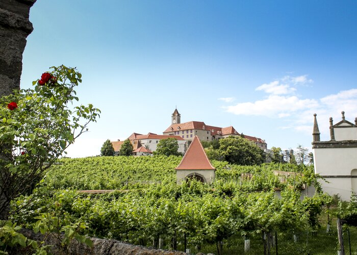 Riegersburg Castle with vineyard | © Steiermark Tourismus | Günther Steininger