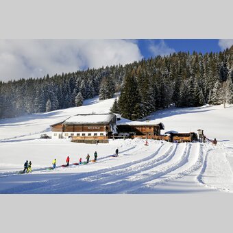 Rösteralm in Ramsau am Dachstein: horses, hut, tire slides, tobogganing and much more | © Steiermark Tourismus | photo-austria.at