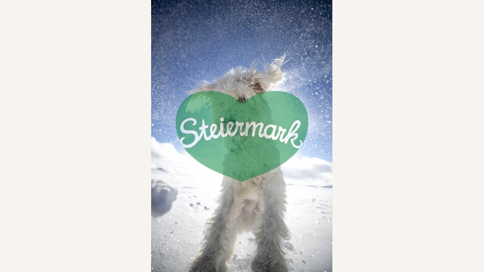 Styrian polar bear ;-) | © Steiermark Tourismus | Tom Lamm