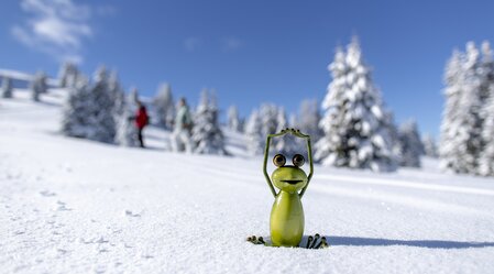 Steiermark-Frosch auf der Frauenalpe  | © STG | Tom Lamm