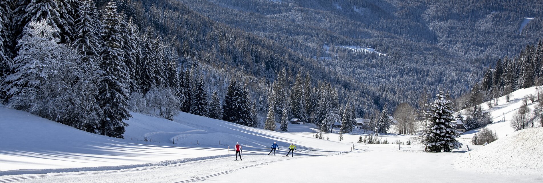 Cross-country skiing on the Weirerteich trail (with piste quality seal) | © Steiermark Tourismus | Tom Lamm