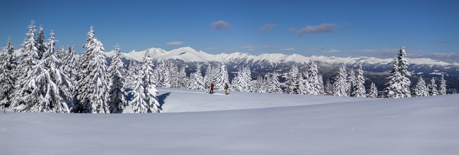 Schneeschuhwandern auf der Frauenalpe | © Steiermark Tourismus | Tom Lamm