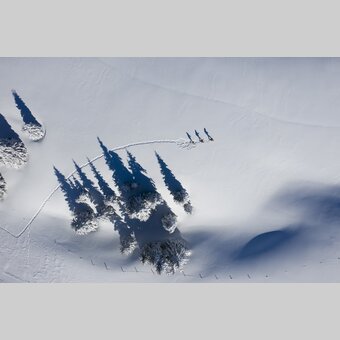 Snowshoeing on the Frauenalpe  | © Steiermark Tourismus | Tom Lamm