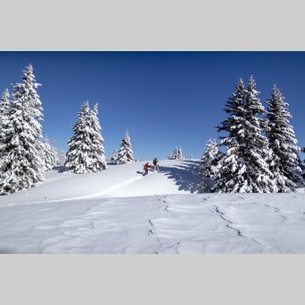 Snowshoeing | © Steiermark Tourismus | Tom Lamm