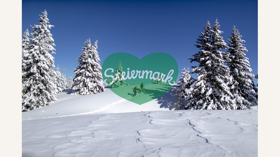 Snowshoeing | © Steiermark Tourismus | Tom Lamm