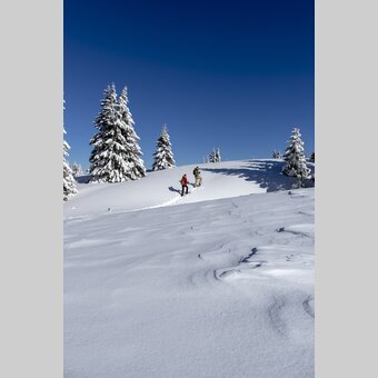 Snowshoeing | © Steiermark Tourismus | Tom Lamm