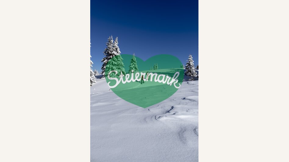 Snowshoeing | © Steiermark Tourismus | Tom Lamm