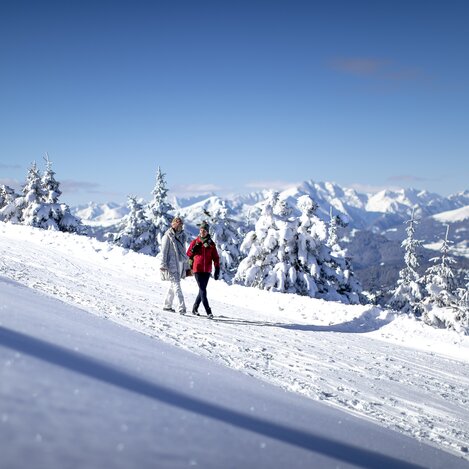 Spazieren gehen auf der Frauenalpe | © STG | Tom Lamm