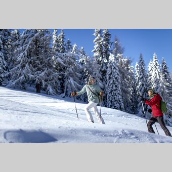 Schneeschuhwandern | © STG | Tom Lamm