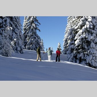 Schneeschuhwandern | © STG | Tom Lamm