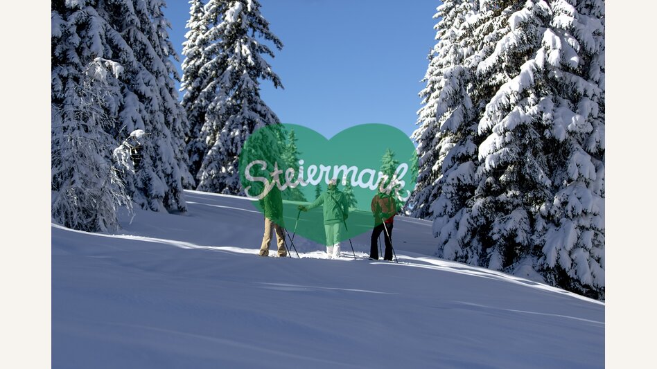 Schneeschuhwandern | © STG | Tom Lamm