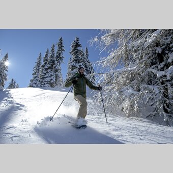 Schneeschuhwandern | © STG | Tom Lamm