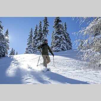 Schneeschuhwandern | © STG | Tom Lamm