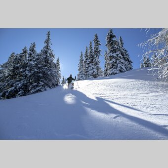 Schneeschuhwandern | © STG | Tom Lamm