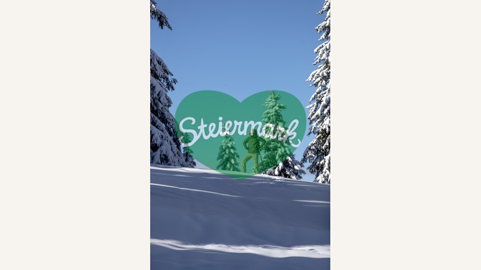 Schneeschuhwandern | © STG | Tom Lamm