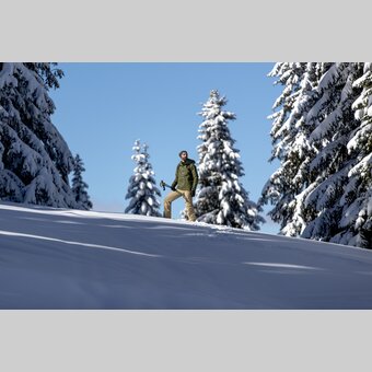 Schneeschuhwandern | © STG | Tom Lamm