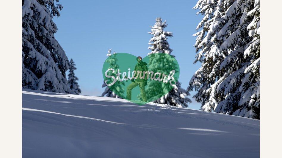 Schneeschuhwandern | © STG | Tom Lamm