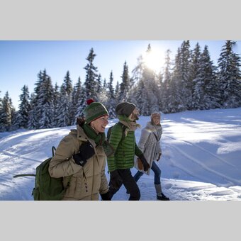 Winter walking | © Steiermark Tourismus | Tom Lamm