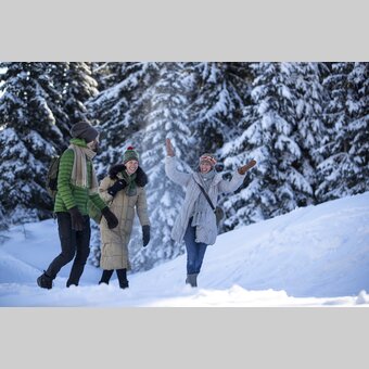 Winter walking | © Steiermark Tourismus | Tom Lamm