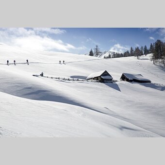 Schleinalm, Skitour to Grumpeneck | © Steiermark Tourismus | photo-austria.at