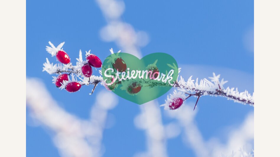 Rosehips iced | © Steiermark Tourismus | photo-austria.at