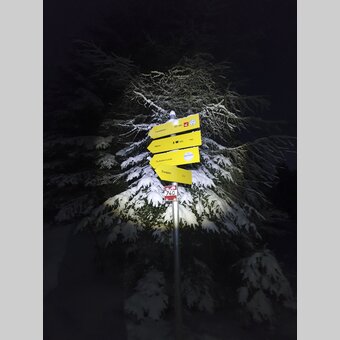Nachtwanderung am Teufelstein in Fischbach | © STG | Günther Steininger