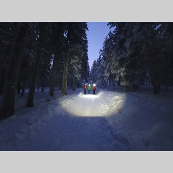 Night hike at the Teufelstein in Fischbach | © Steiermark Tourismus | Günther Steininger