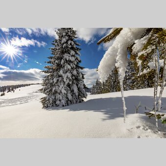 Deep winter in the Green Heart | © Steiermark Tourismus | Harry Schiffer