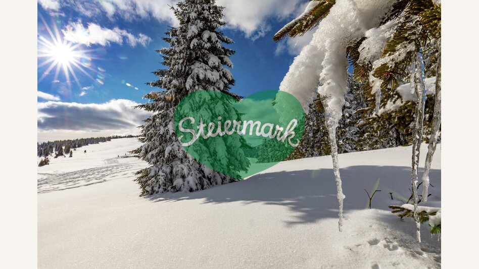 Deep winter in the Green Heart | © Steiermark Tourismus | Harry Schiffer