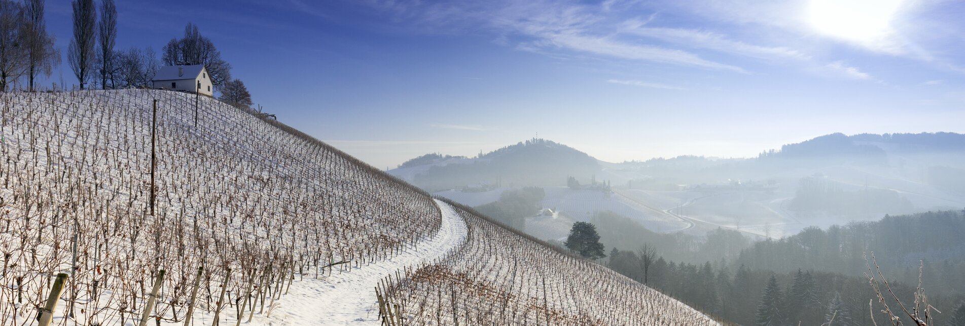 Winter in southern Styria (Schererkogel) | © Steiermark Tourismus | Harry Schiffer