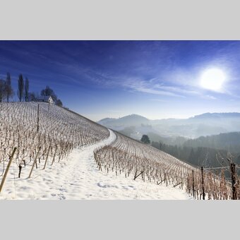 Winter in southern Styria (Schererkogel) | © Steiermark Tourismus | Harry Schiffer