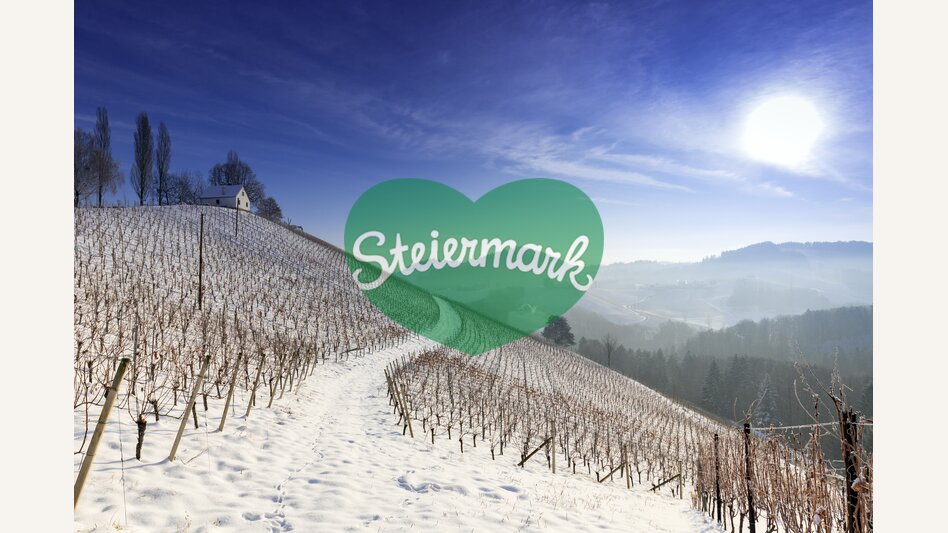 Winter am Schererkogel in der Südsteiermark | © STG | Harry Schiffer