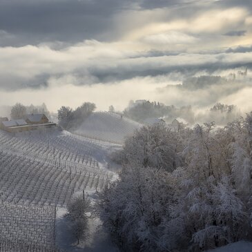Winter im Weinland