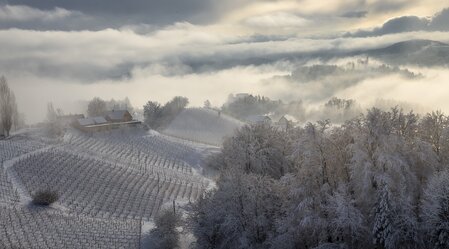 Winter in wine country | © Steiermark Tourismus | Wolfgang Jauk
