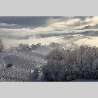 Winter in wine country | © Steiermark Tourismus | Wolfgang Jauk