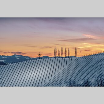 Winter in the wine country/Southern Styria | © Steiermark Tourismus | Wolfgang Jauk
