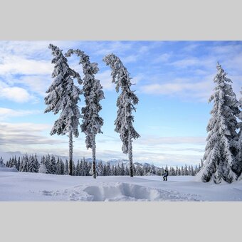 Snowshoeing at the "3 Riesen" | © Steiermark Tourismus | pixelmaker.at