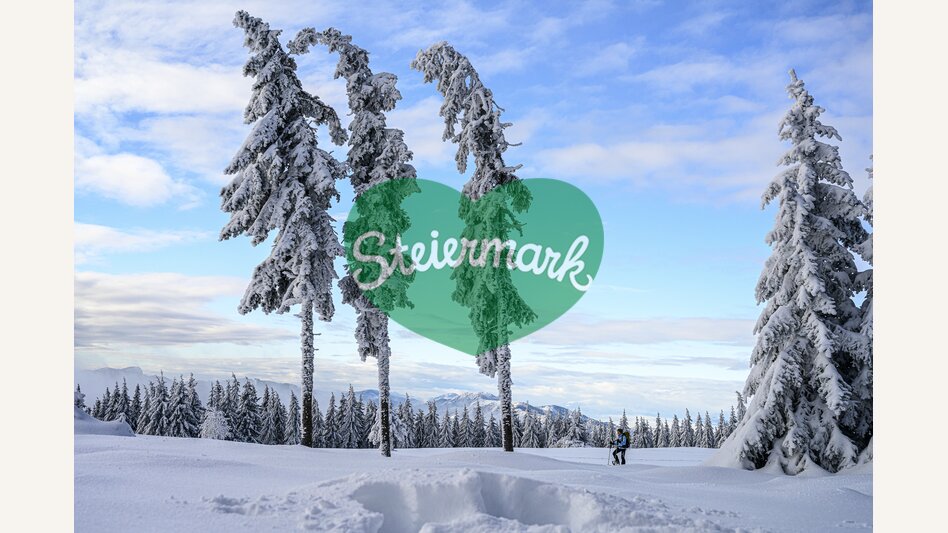 Snowshoeing at the "3 Riesen" | © Steiermark Tourismus | pixelmaker.at