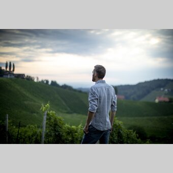 View of the vineyards | © Steiermark Tourismus | Tom Lamm