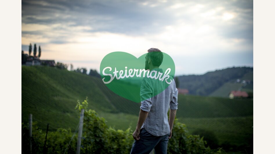 View of the vineyards | © Steiermark Tourismus | Tom Lamm