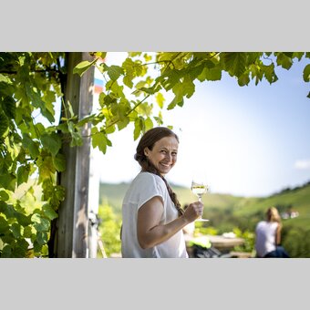 Enjoyable hiking break in the middle of the South Styrian vineyards | © Steiermark Tourismus | Tom Lamm